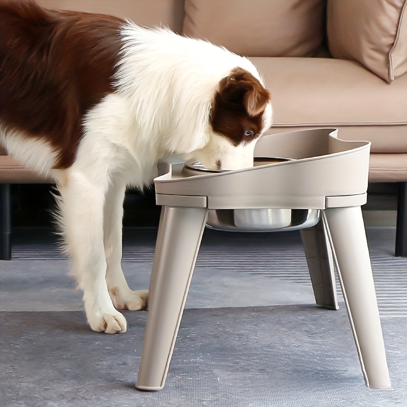 edelstahl hochgelegte futternapf mit stnder, doppel-futterschalen fr  katzen und hunde, waschbar und leicht zu reinigen, fr kleine hunde und  katzen, spritzschutz | Gratisversand Fr Artikel, Die Von Temu Versandt  Werden | Temu