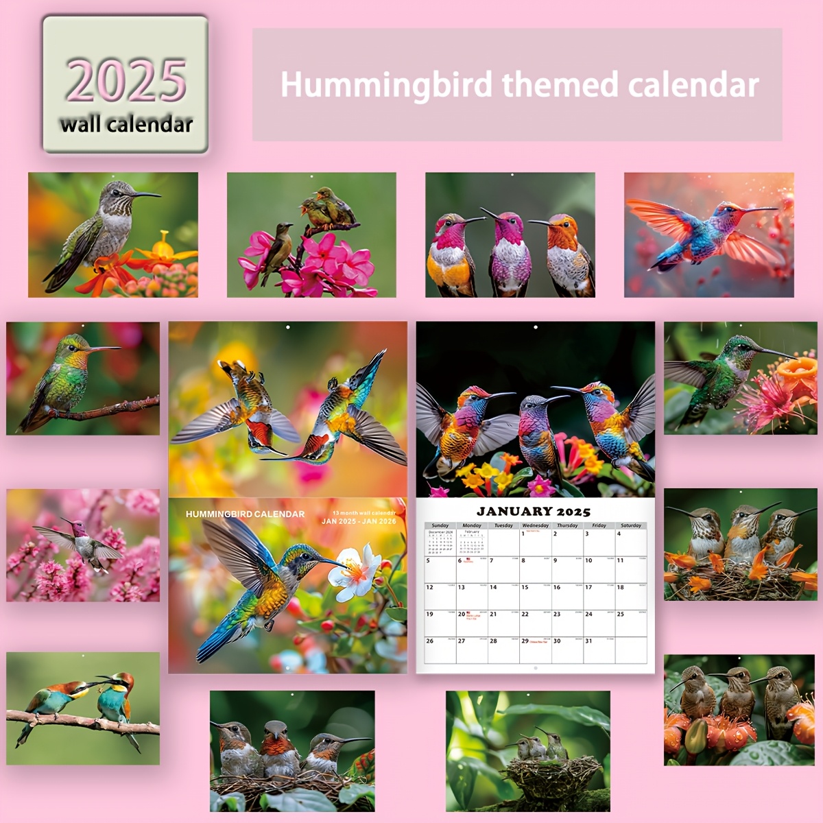 

2025 Hummingbird Theme Calendar, 2025 - 2026. 15 Different Hummingbird High- Hummingbird Pictures Printed, Large Grid Date Record Schedule