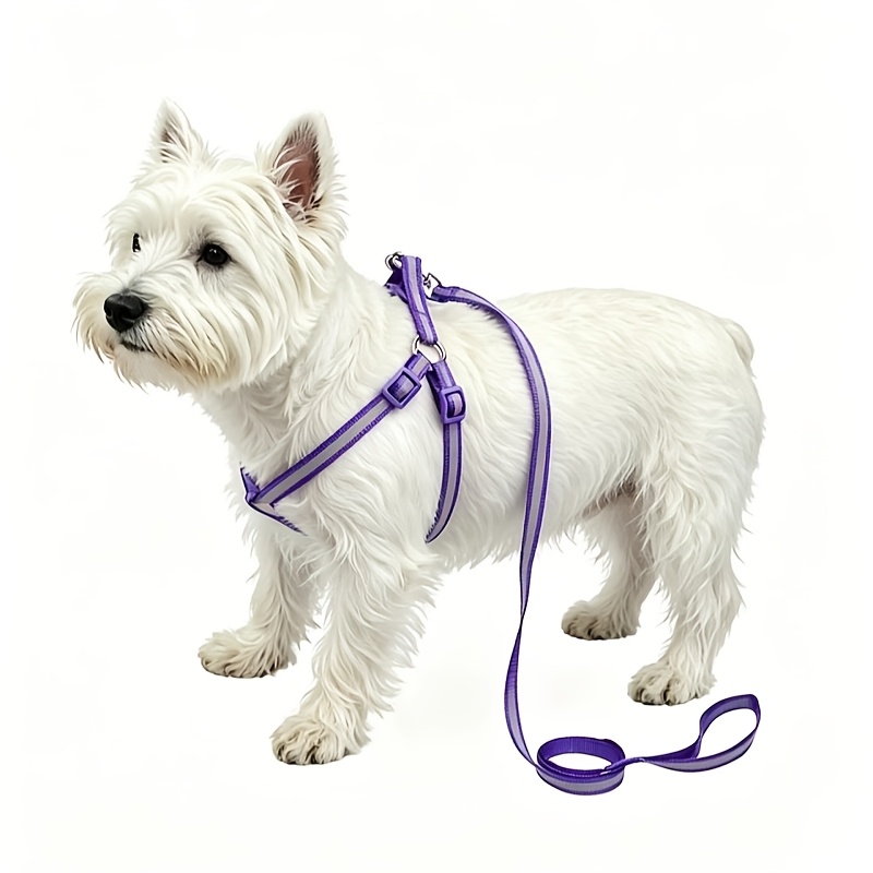 2pcs Pet Reflective Harness and Leash Set, Adjustable