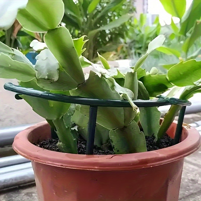 8pcs/Set (4 Curved Rods + 4 Straight Rods), 9.84-Inch Plastic Plant Support Stake Ring, Suitable for Greenhouse Garden, Semi-Circular Fixed Rod for Indoor Flowers And Climbing Plants, Flexible And Adjustable Bonsai Tool, Easy to Fix Height