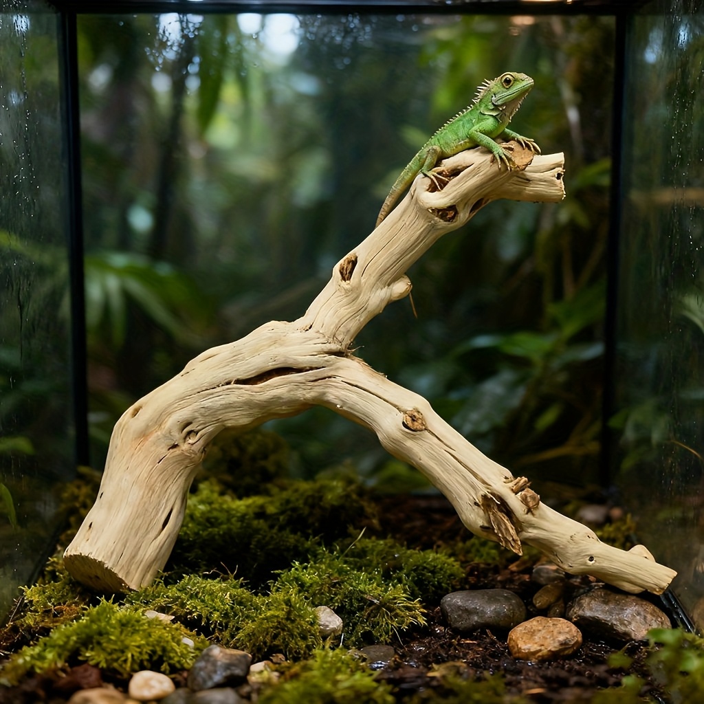 Natural Wood Hideout for Gecko & Bearded Dragon