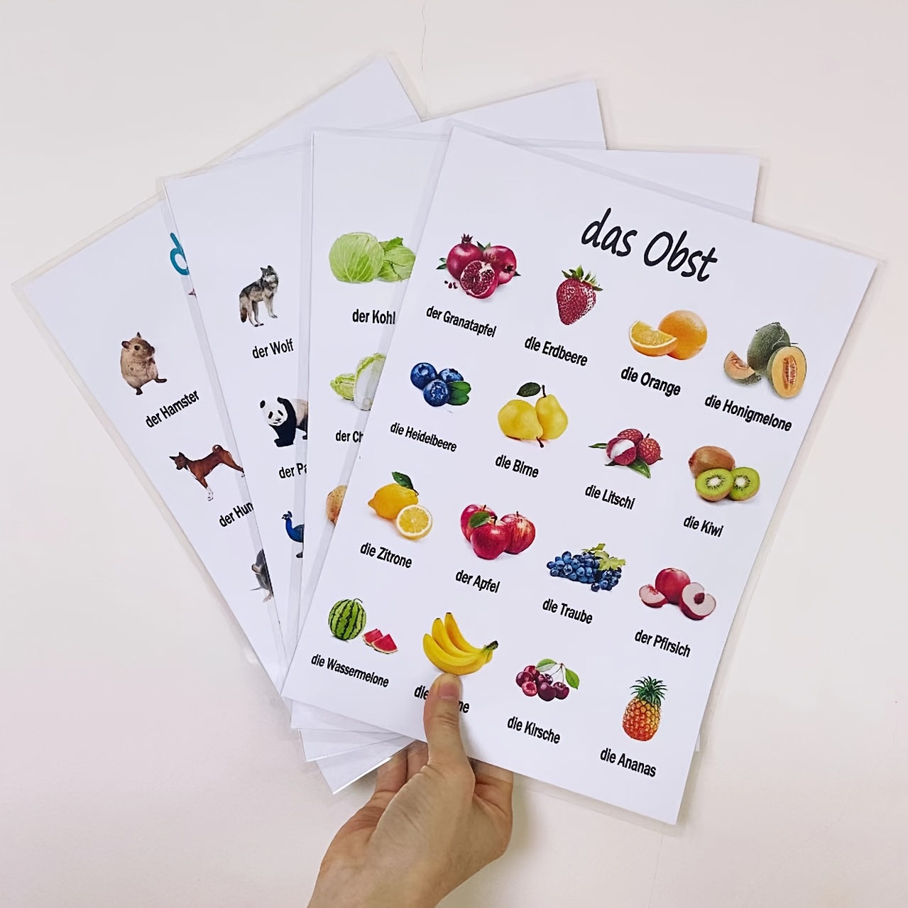 4pcs German Learning Flashcards, A4 Size Vegetable, Animal, And Fruit German Learning Flashcards, Suitable For Teaching Reading And Learning