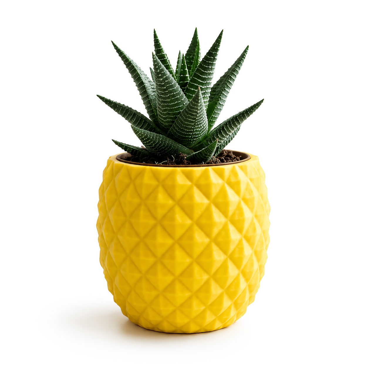 TEMU Pot de plante grasse ananas créatif imprimé en 3D, pot de cactus succulent géométrique moderne, mini conteneur de plante géométrique, décoration