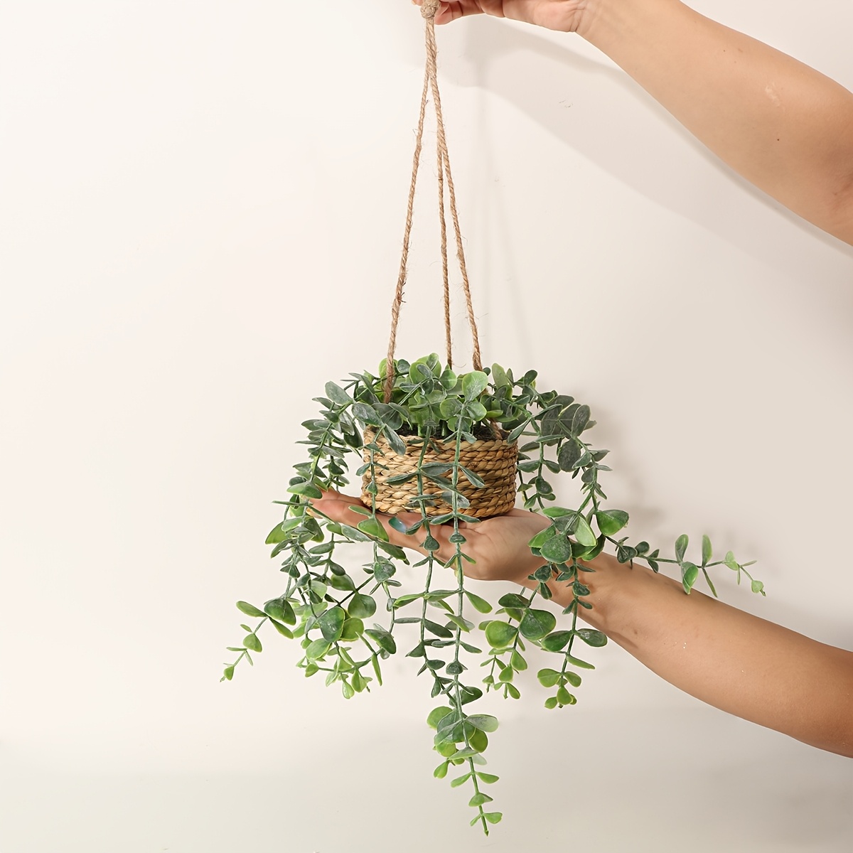 

1pc Eucalyptus Hanging - 32cm Eucalyptus In Pot, For , For Types, For Christmas, Halloween, Easter, , Day - / Use, Includes Hanging