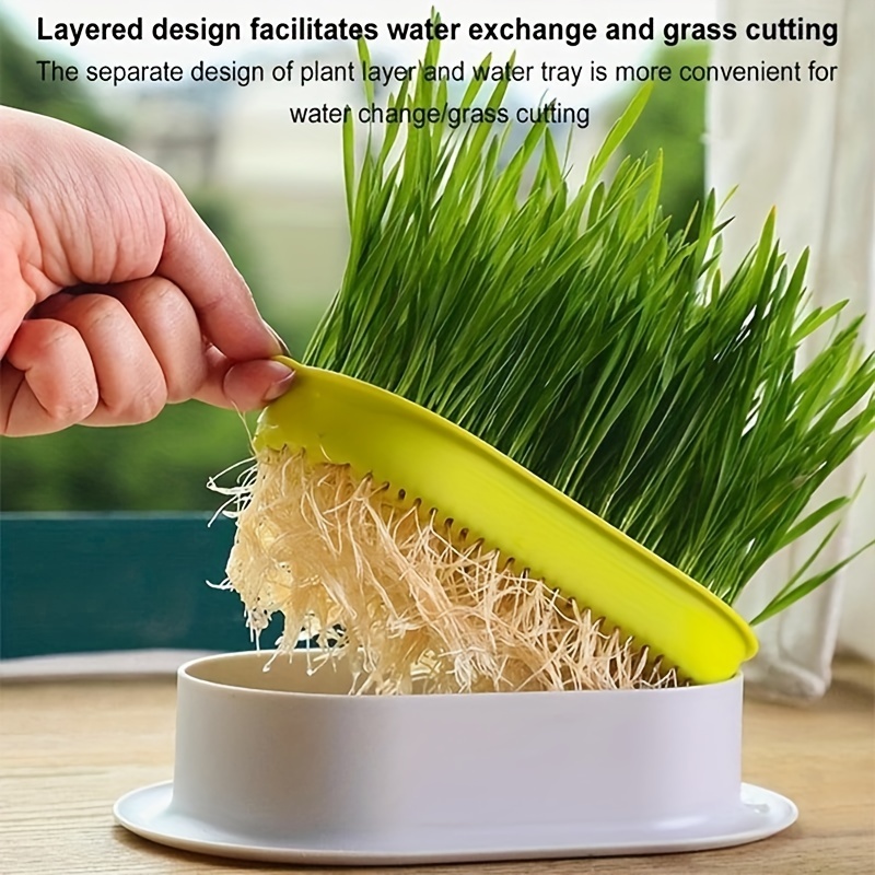 

1pc Cat Grass Planting Box, Hydroponic Cat Grass Growing Pot, Plastic Pet Cat Feeder Bowl (without Seeds)