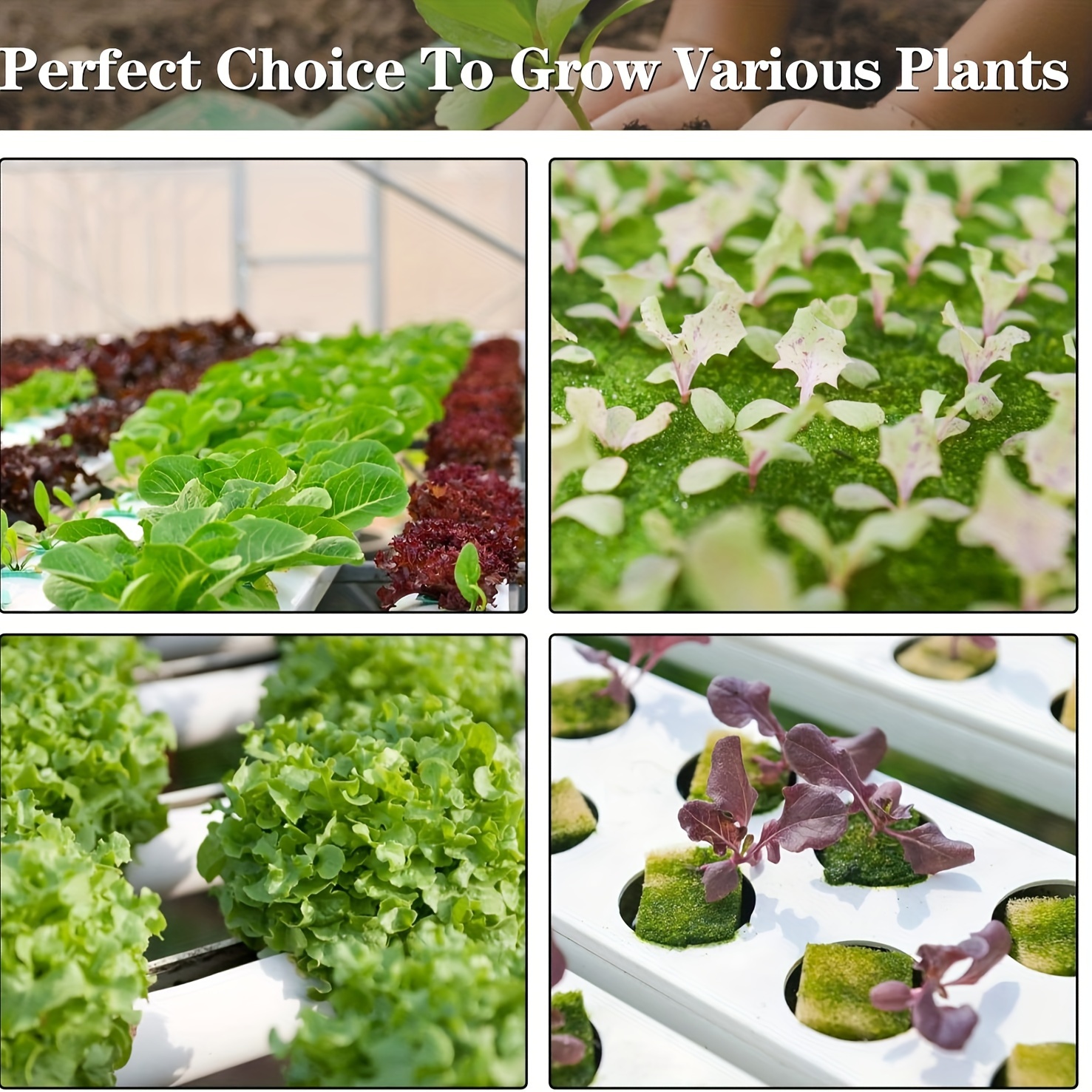 RUCUDIM Rockwool Cube, Ensemble De Laine De Roche, Tapis De