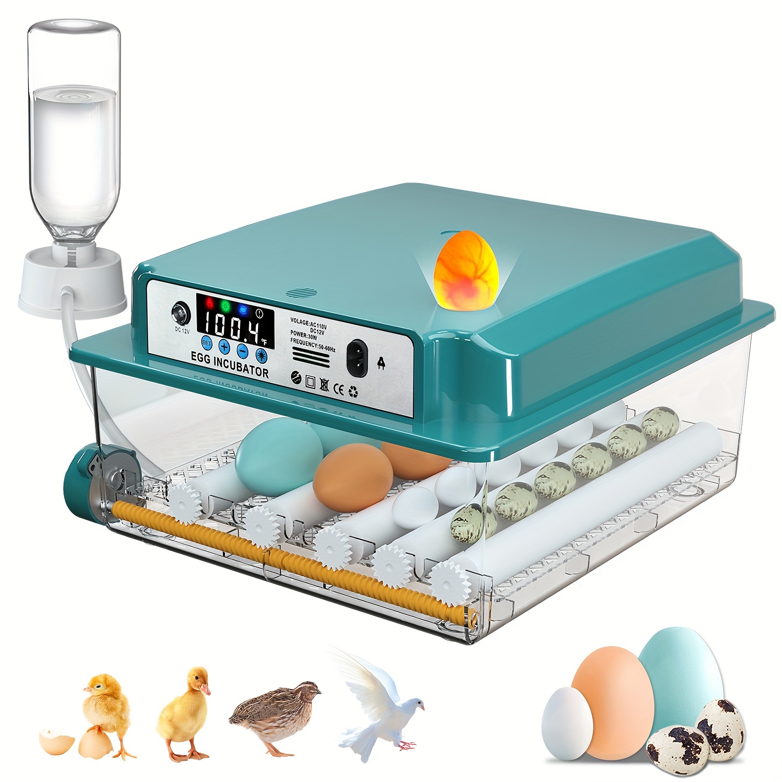 

Egg Incubator, Egg Incubator Egg And , Incubator For , 12-16 Incubator Egg , For