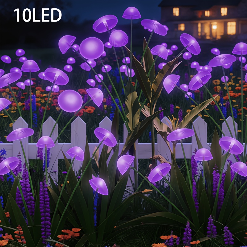 TEMU solaires à d'extérieur à 10 LED, parfaites pour décoratif le long des allées de jardin, des trottoirs, des patios et pour les occasions festives