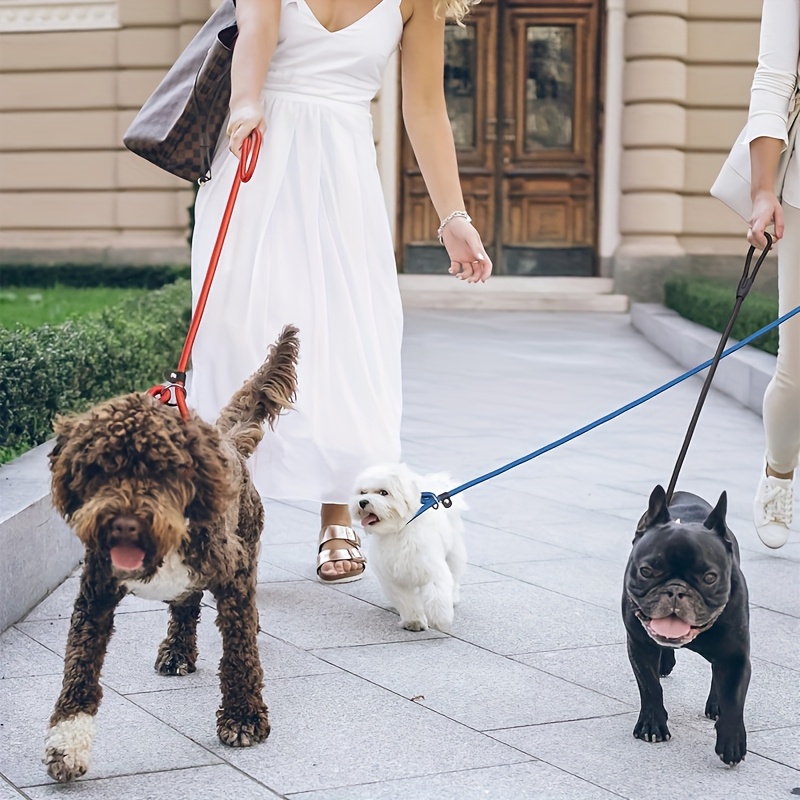 5pcs Heavy-Duty Nylon Dog Training Leash Set