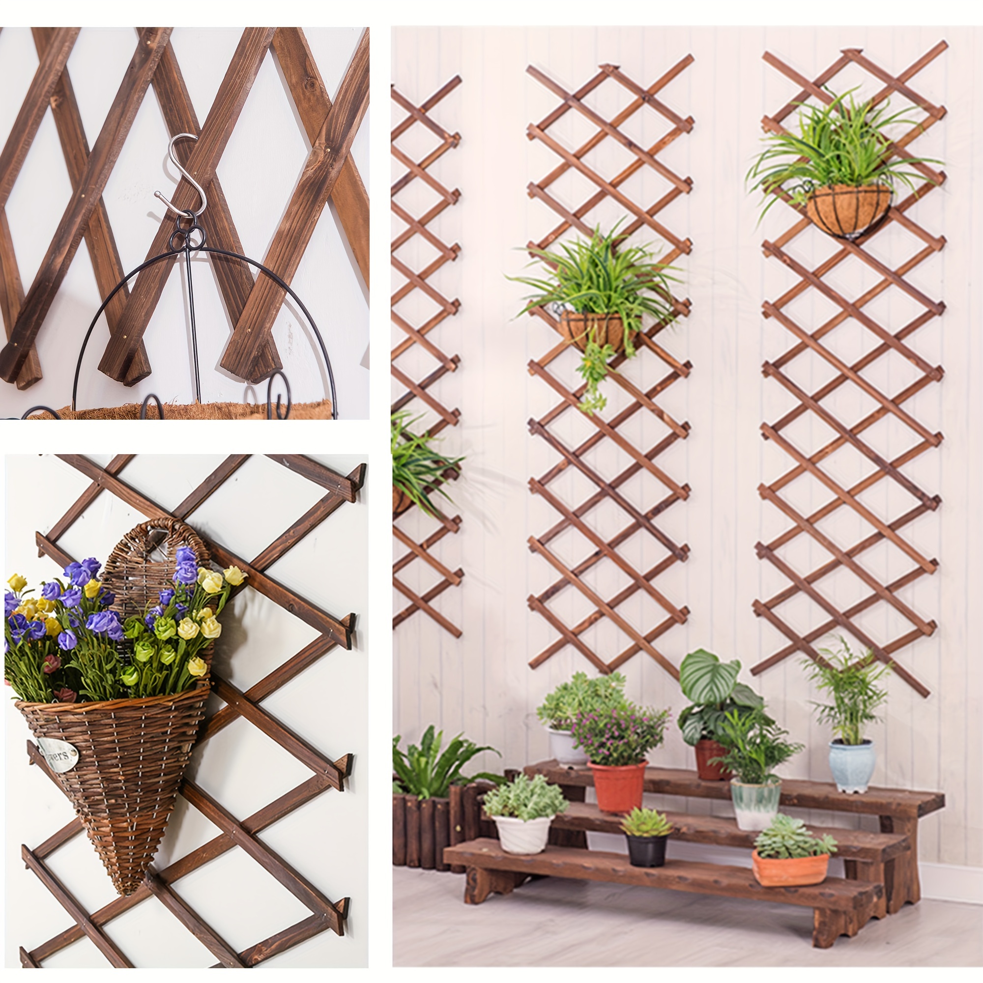 fiddle fig leaf Ficus Fiddle Leaf Fig Standard