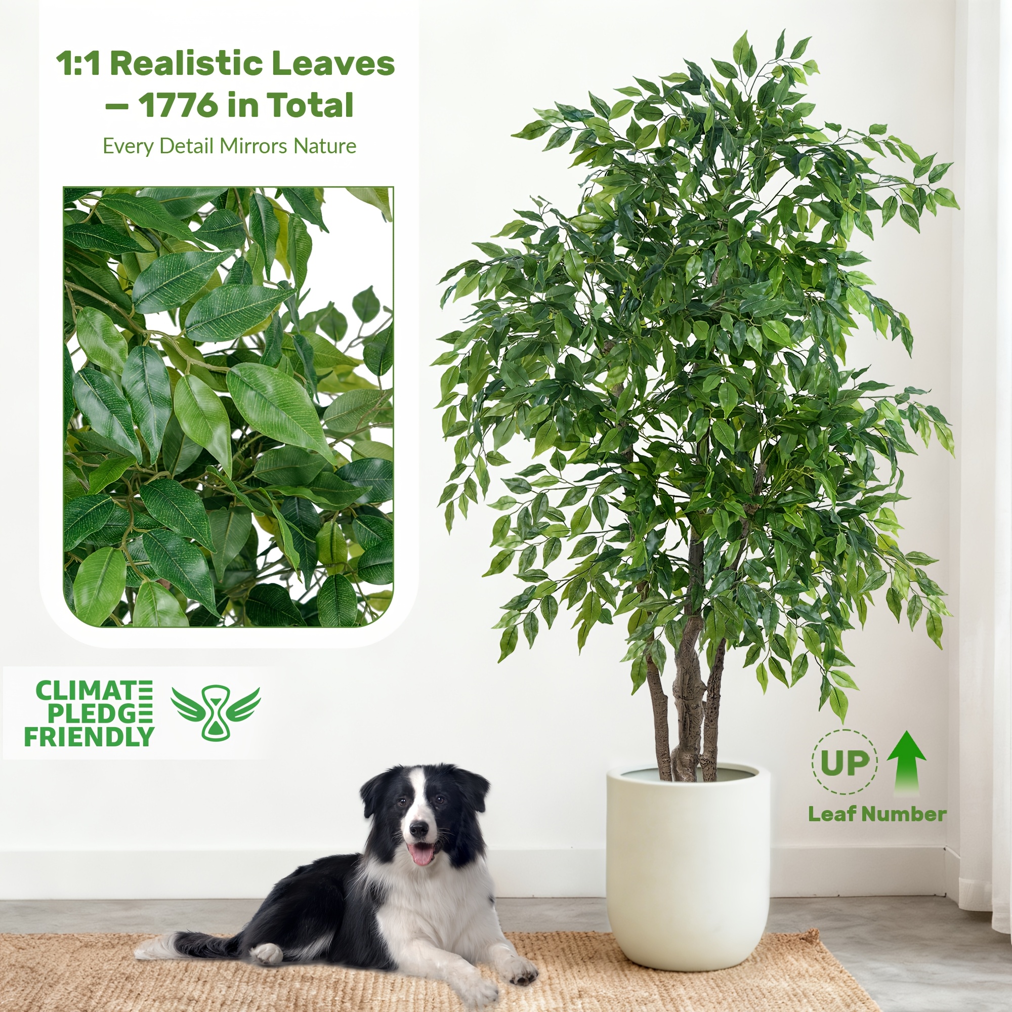 1.8m Kunstmatige Ficusboom met Witte Pot