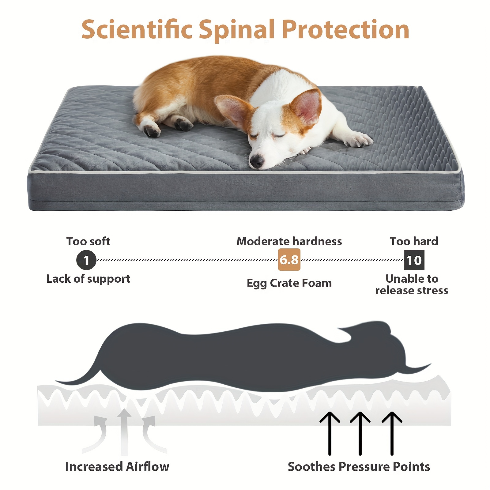Anti-Slip Bottom Dog Bed