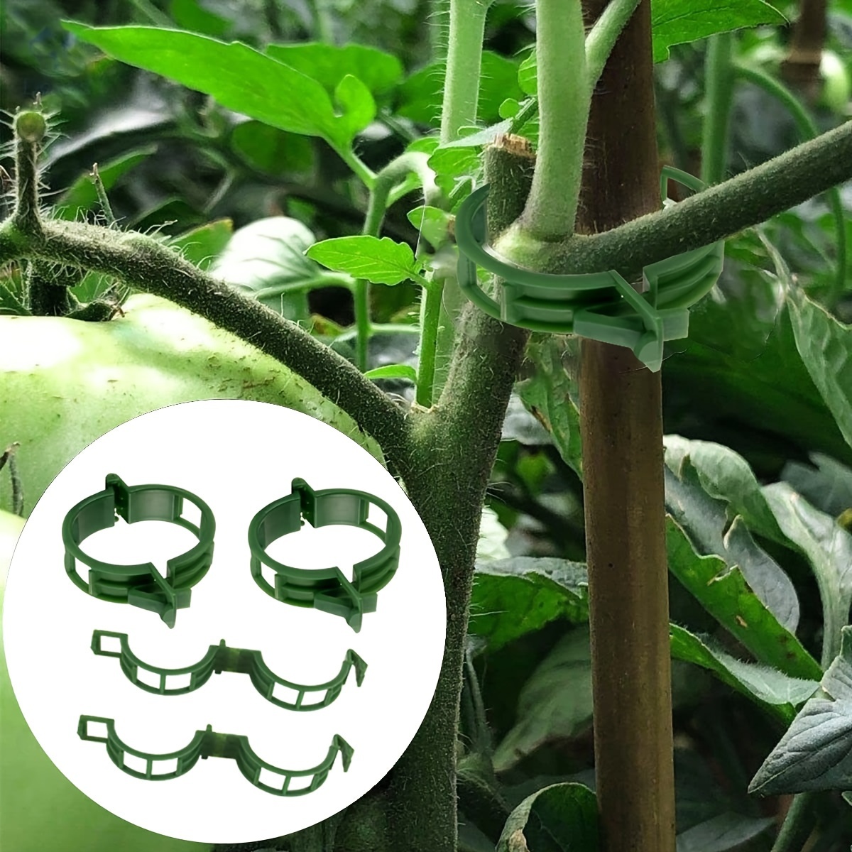 Durable Plastic Garden Trellis Clips - 10/50/100/150pcs - Ideal for Supporting Tomato, Grape Vines & Vegetables - Promotes Healthy Upright Growth, Garden Trellis for Climbing Plants