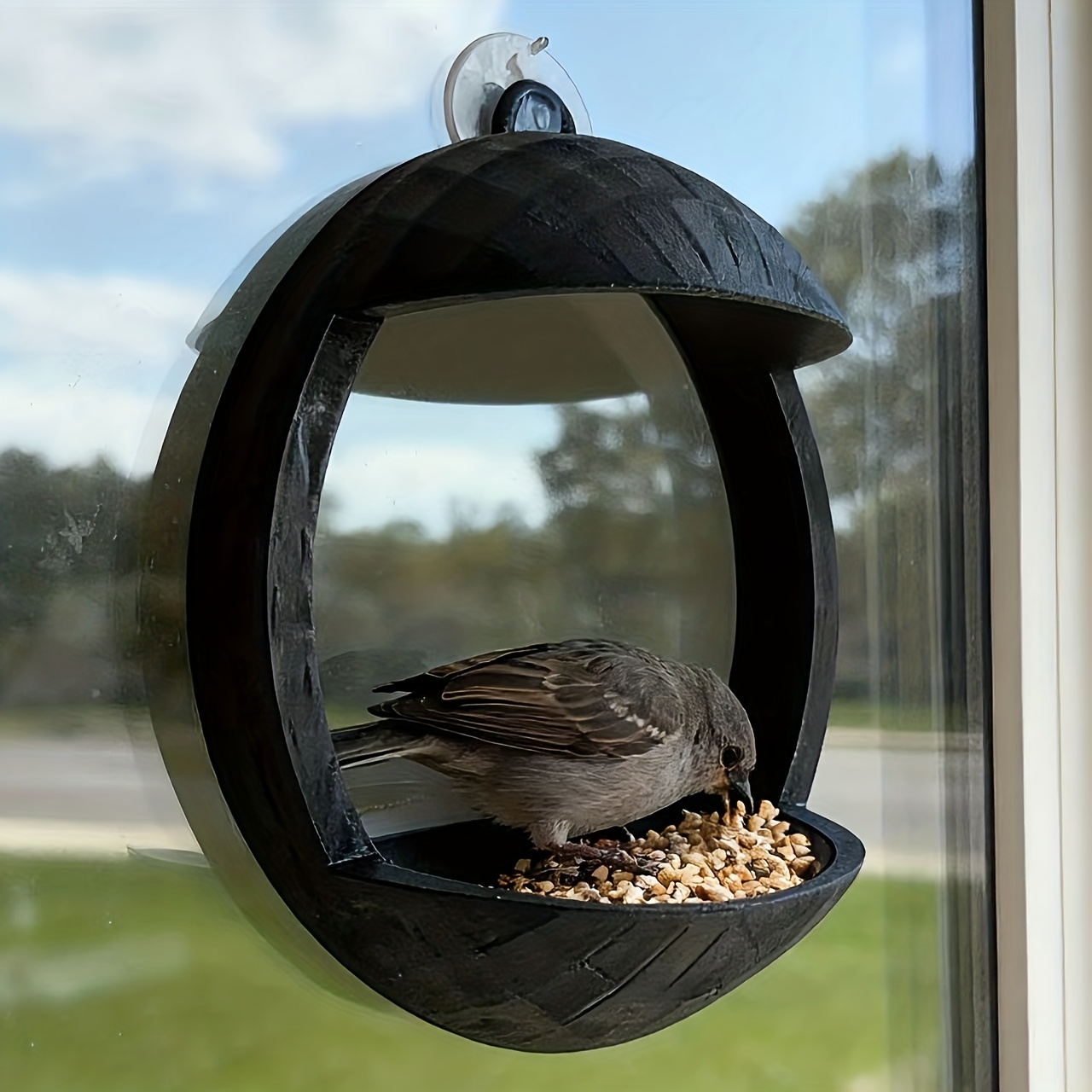 A Practical Window Bird Feeder - Sticks To Windows For Bird Feeding Observation - , Durable Material