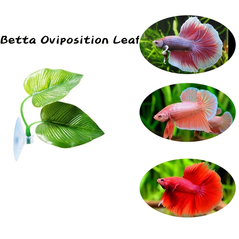 

Betta Fish - Artificial Leaf Rest For Aquariums, Pp Material, Ideal For All Fish