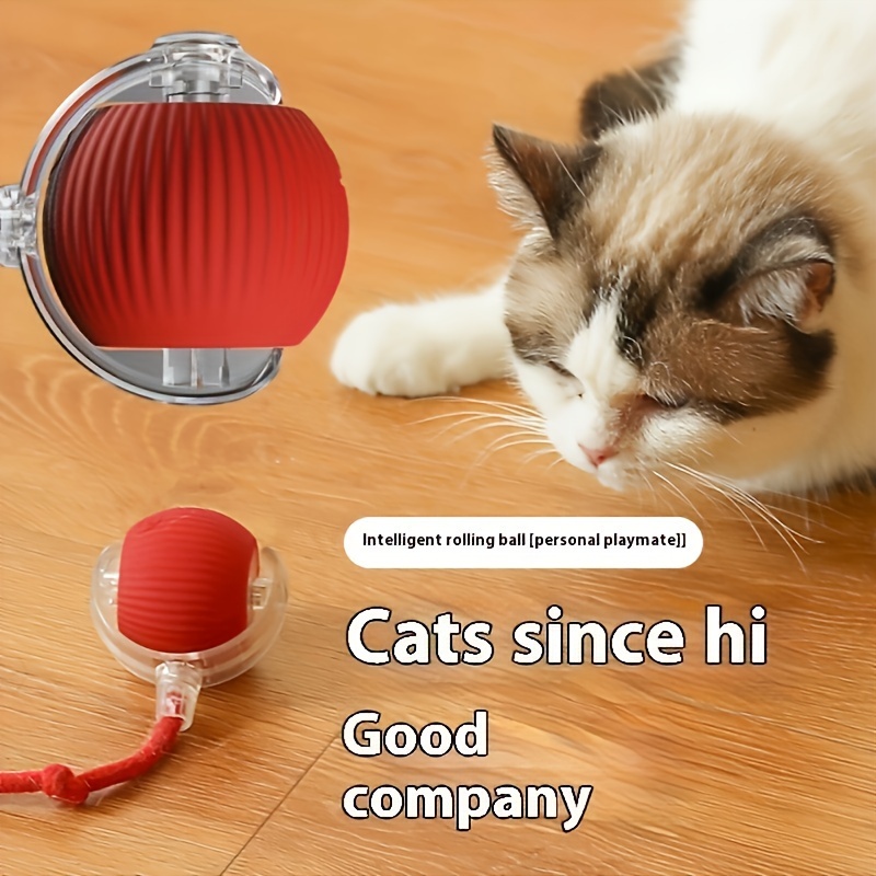 

Interactive Cat Toy - Usb Rechargeable, - Breeds