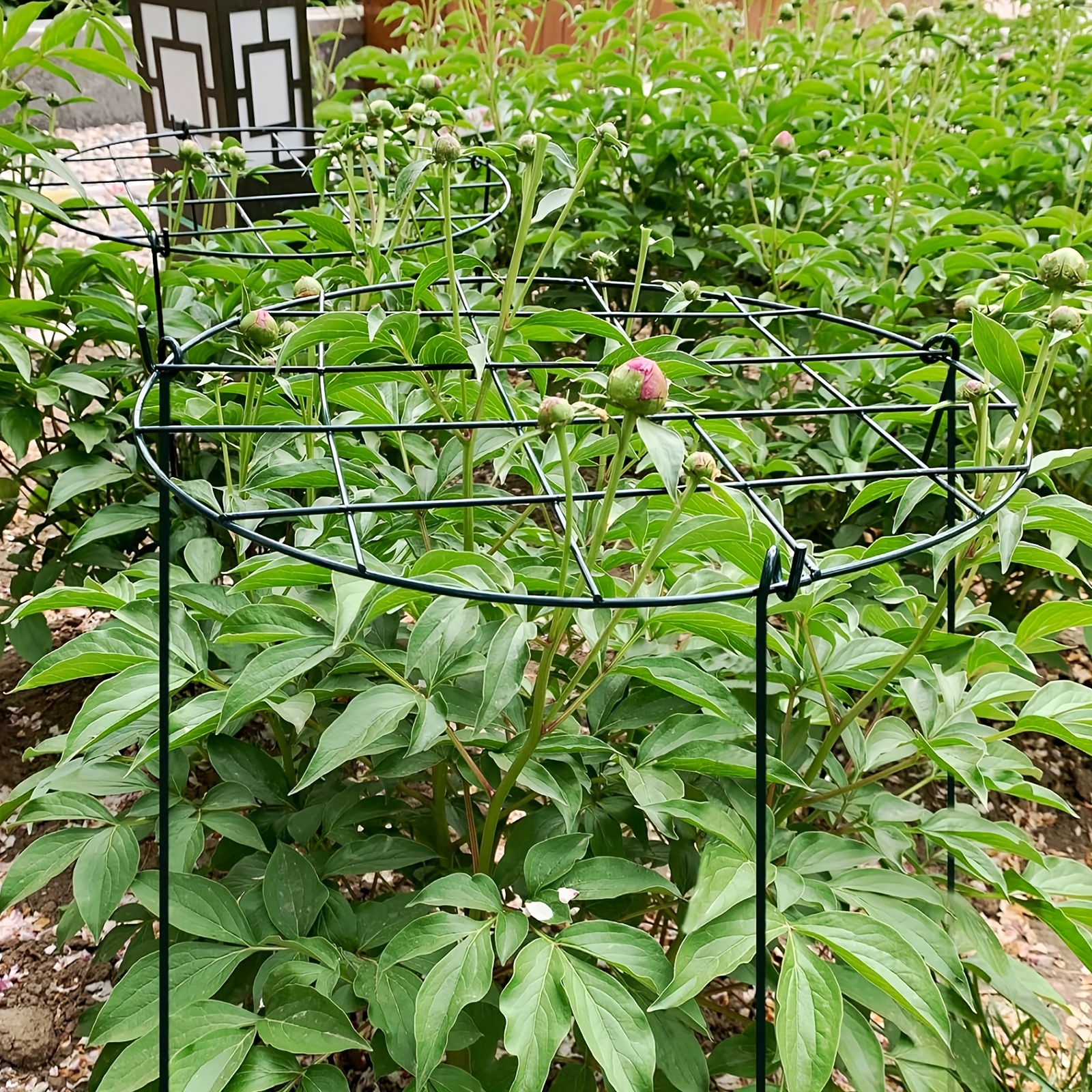 Image of 2pcs Peony Cage Supports, Round Plant Support Cages For Indoor/outdoor Succulents, Tomatoes, Roses, And Vine Potted Plants