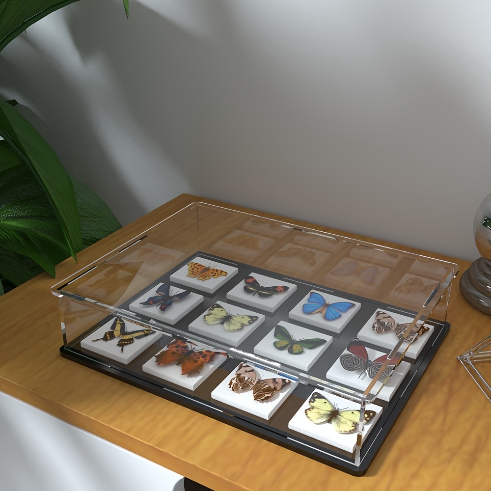 Display Temu Ireland