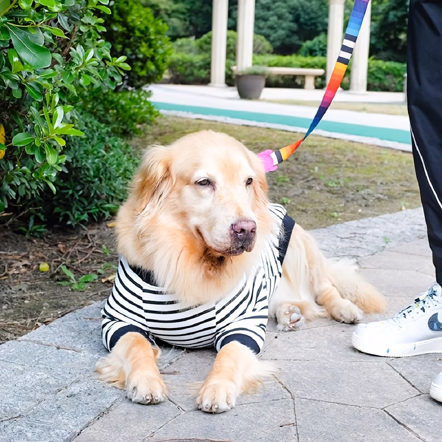 large dog fleece round neck black and white striped casual sweatshirt Product details 2