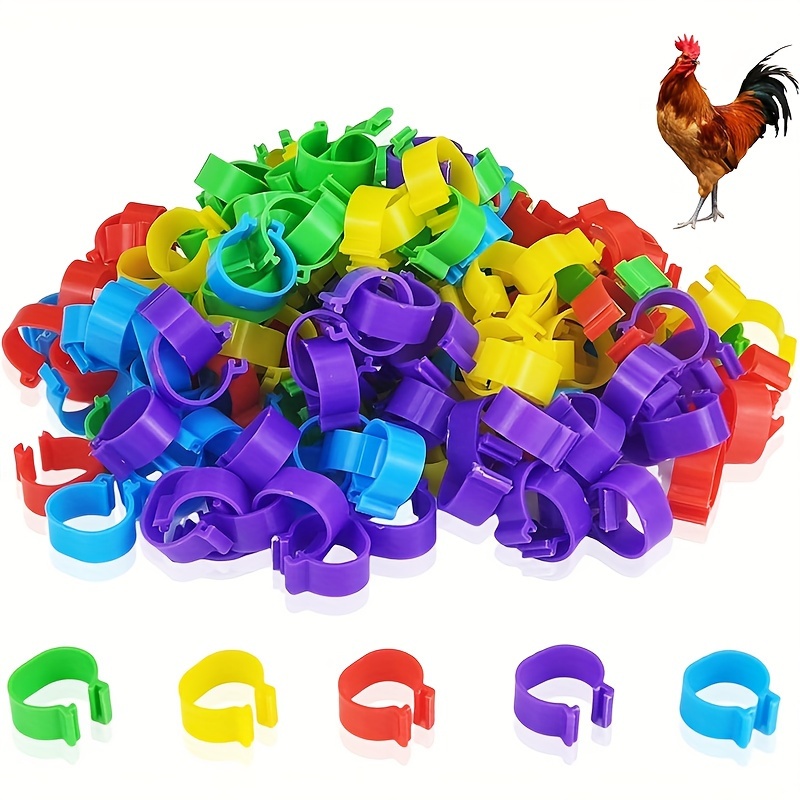 

100pcs Chicken Leg Bands - 16mm Clip-on Poultry Identification Rings, Plastic, & Urban Agricultists, 5 Colors, Chicken Leg Ring