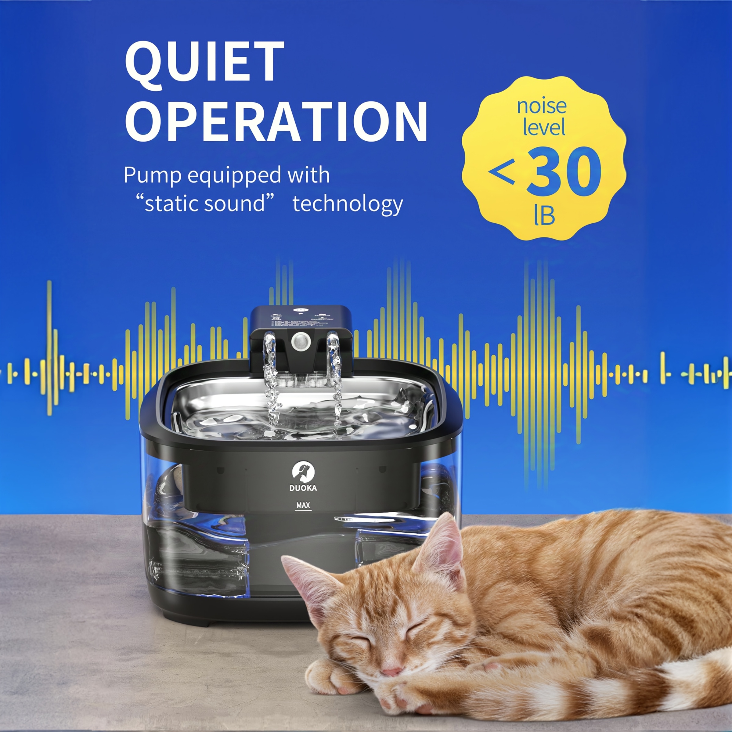 anchor dog collar and leash Leash