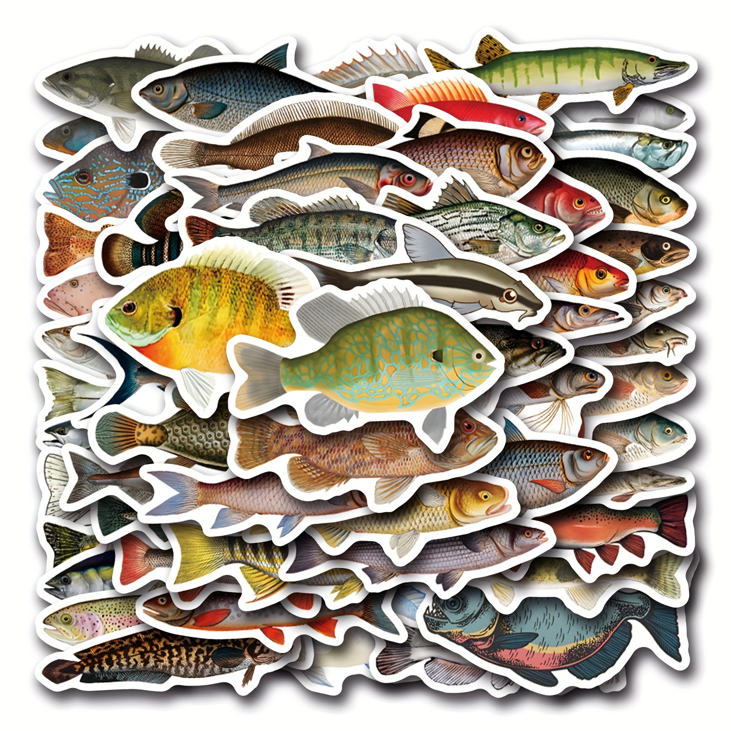 Image of 56pcs Vinyl Fish Stickers, Reusable Glossy Irregular Shapes, English Text, For Scrapbooking, Journaling, Laptops, Skateboards, Water Bottles, Phones, Cars, And More