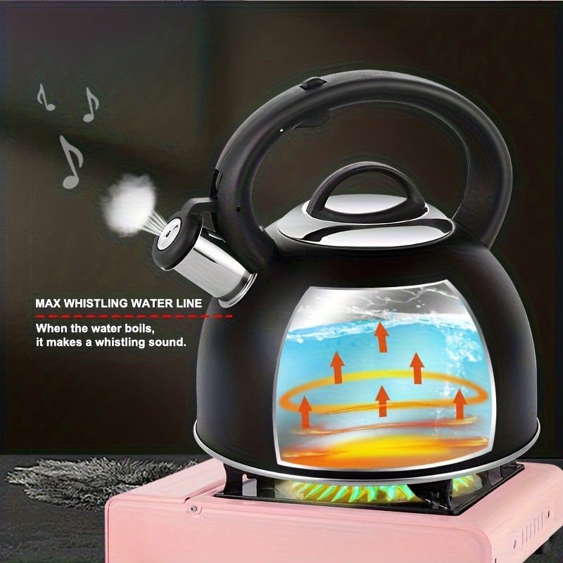 3L Stainless Steel Sound-Producing Kettle for Induction & Gas Stoves