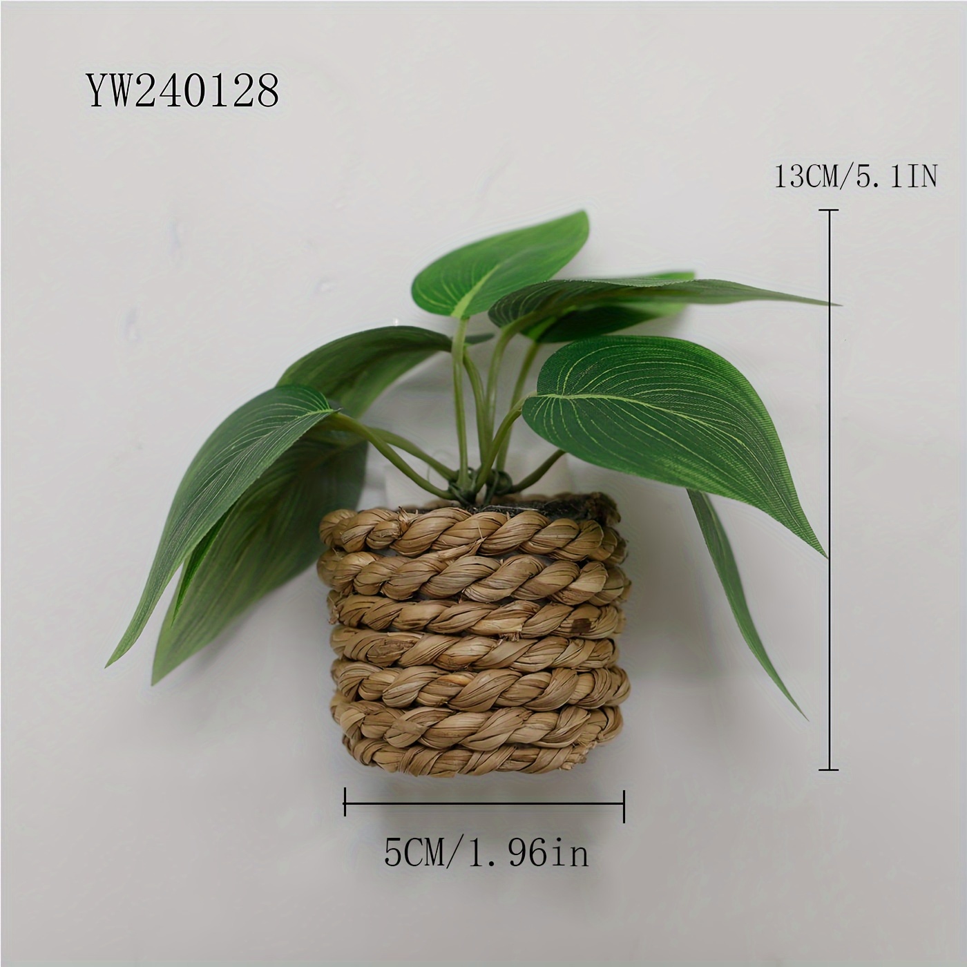 ziermais saatgut Saatgut Ziermais Mischung - Zea mays japonica