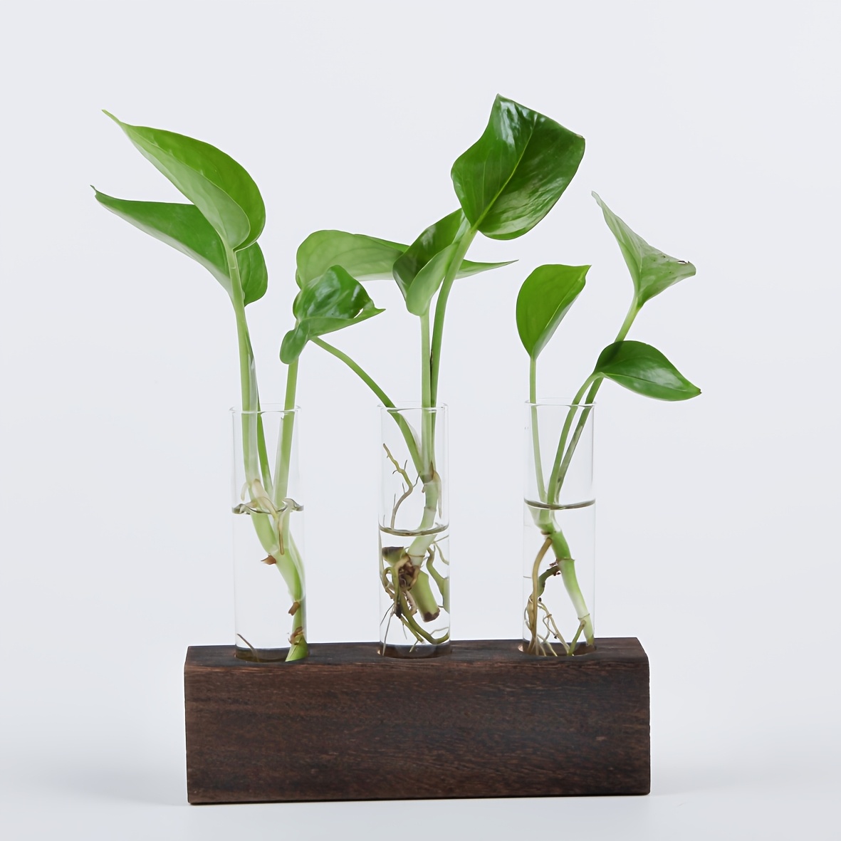 desktop wall mounted glass flower pots plant propagation - Temu
