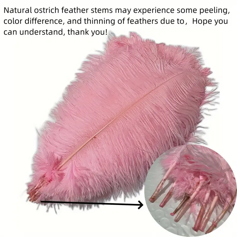 Colorful Ostrich Feathers For Crafts Carnival - Temu