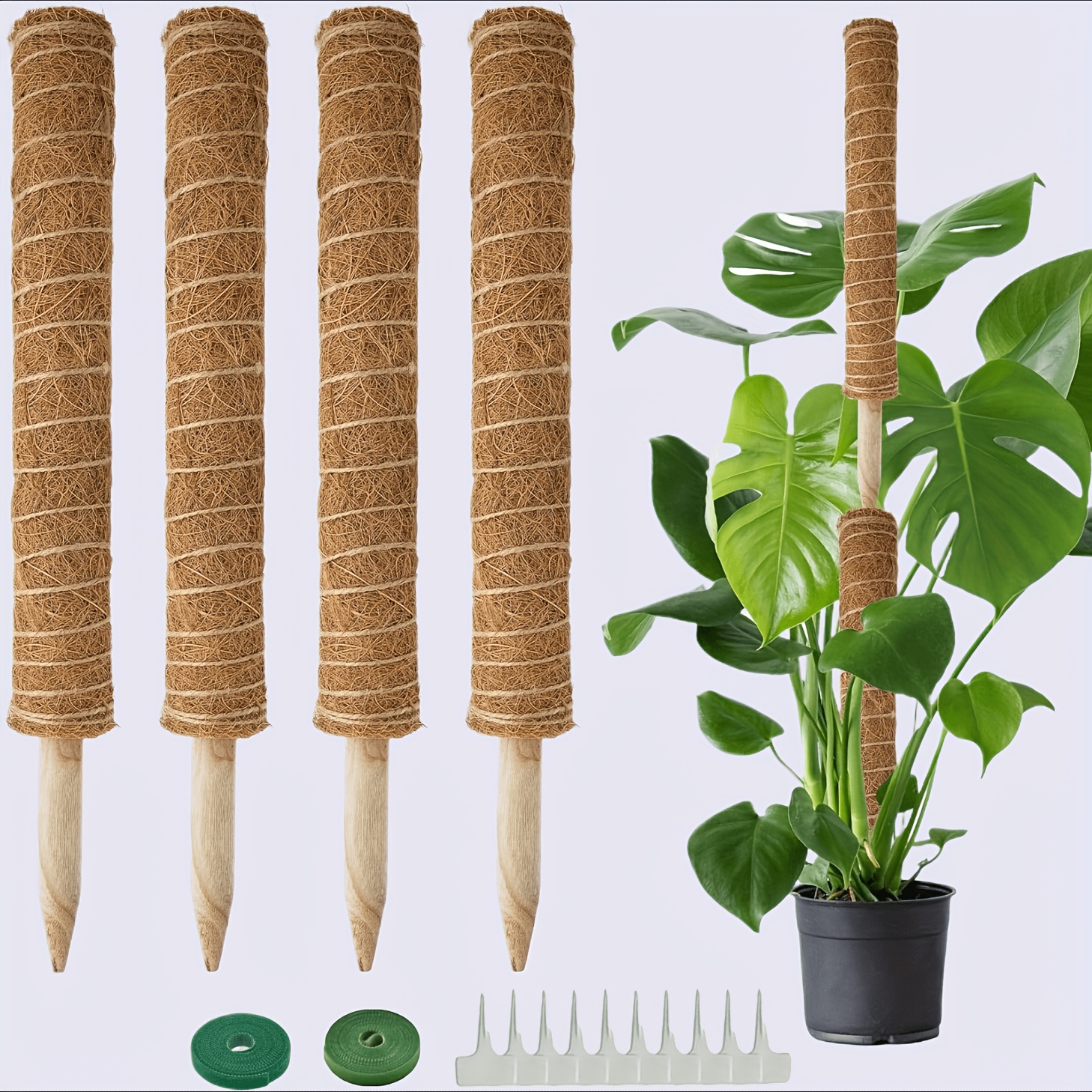 moss poles sold on Temu United States