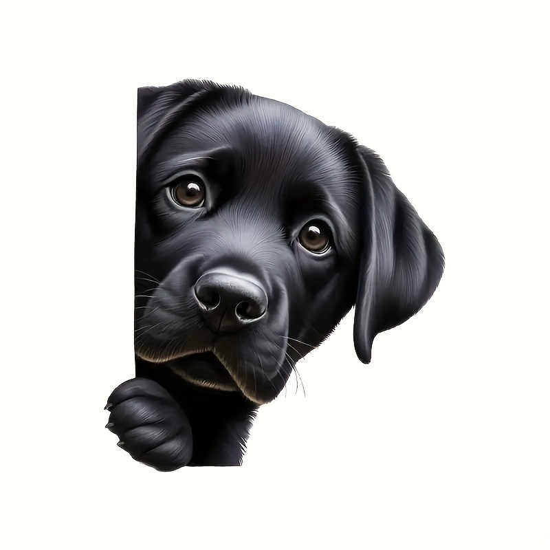 The Adorable Labrador Is Peeking The Car Window - Stickers Used To Decorate Windows, Bumpers, Refrigerators, And Walls