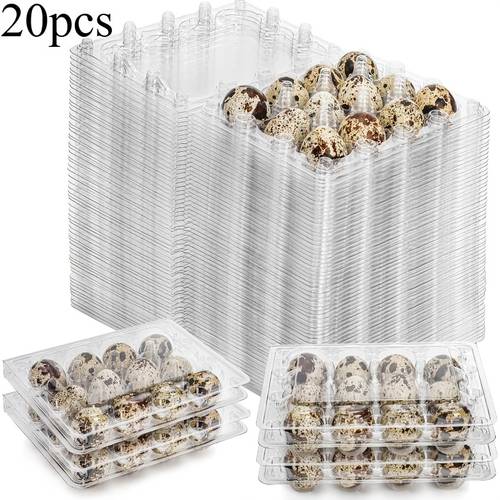 set of 20 transparent quail egg containers each holding 12 eggs featuring small storage trays with lids that stacked ideal for quail pigeon and pheasant eggs suitable for display and refrigerator organization