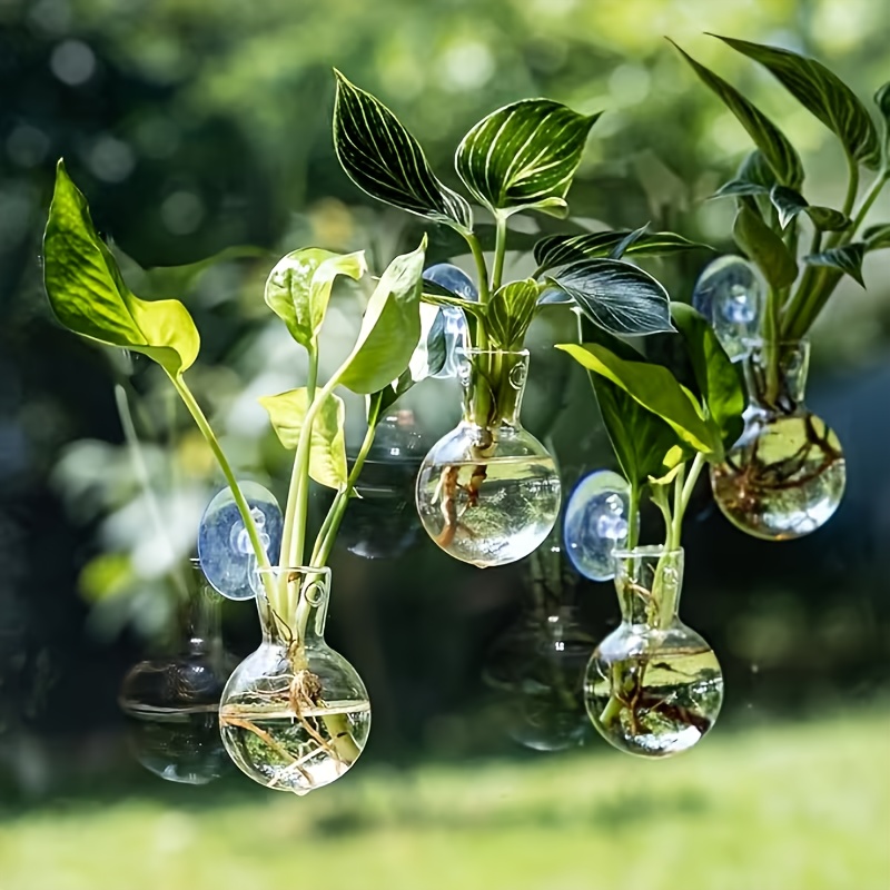 TEMU 4/8pcs Hydroponic Plant Bottles, Plastic Hanging Pieces For Home Gardening Decoration Acrylic Wall Hanging Transparent Vase, Mini Wall Hanging
