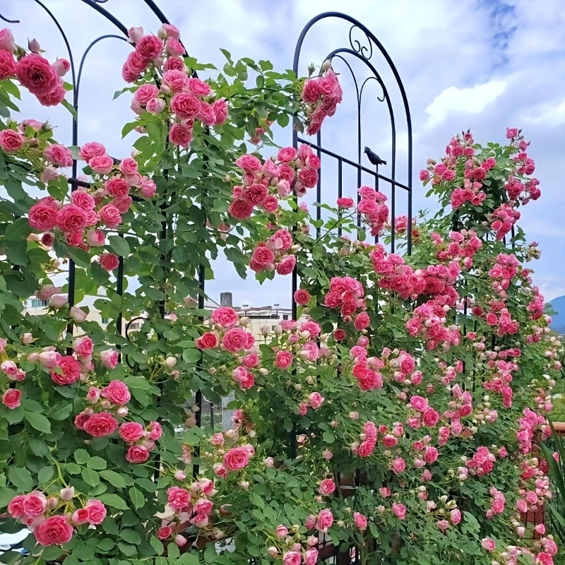 

1pc Metal Garden Trellis For Climbing Plants - Durable Iron Support Frame For Roses, Vines & Flowers - Indoor/outdoor Use
