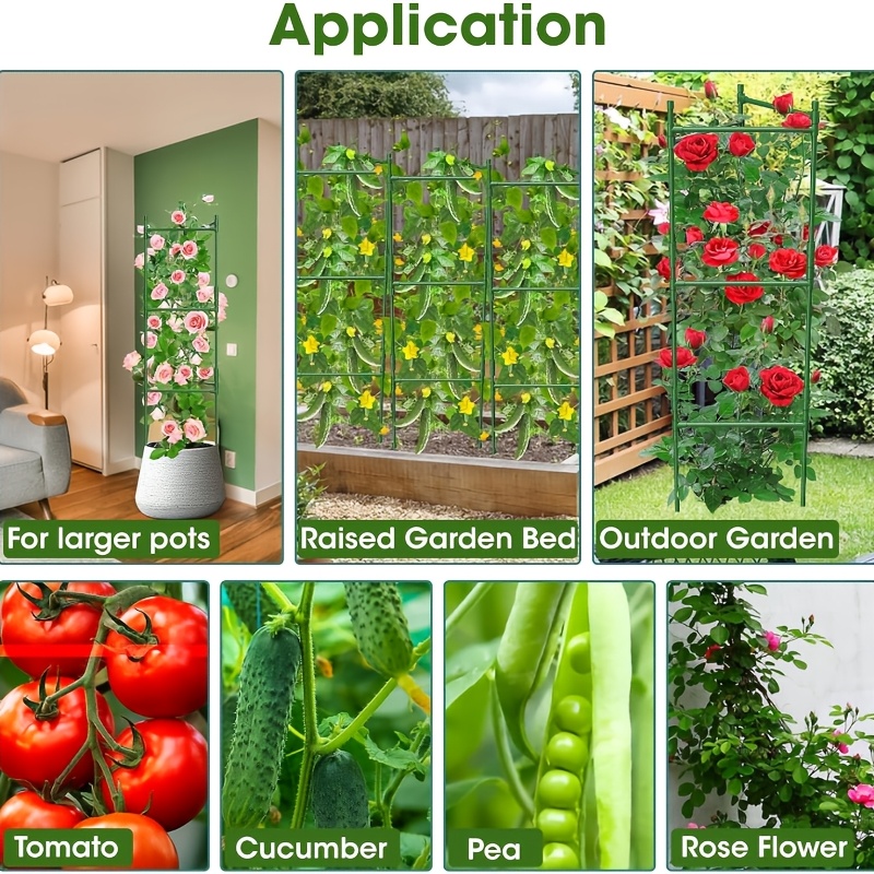 E-shop Set mit 6 stabilen Pflanzenstützen aus Metall, geeignet für Gartenpflanzen, mit langlebigem, 8 mm dickem, rostfreiem Kernmaterial. Die passende