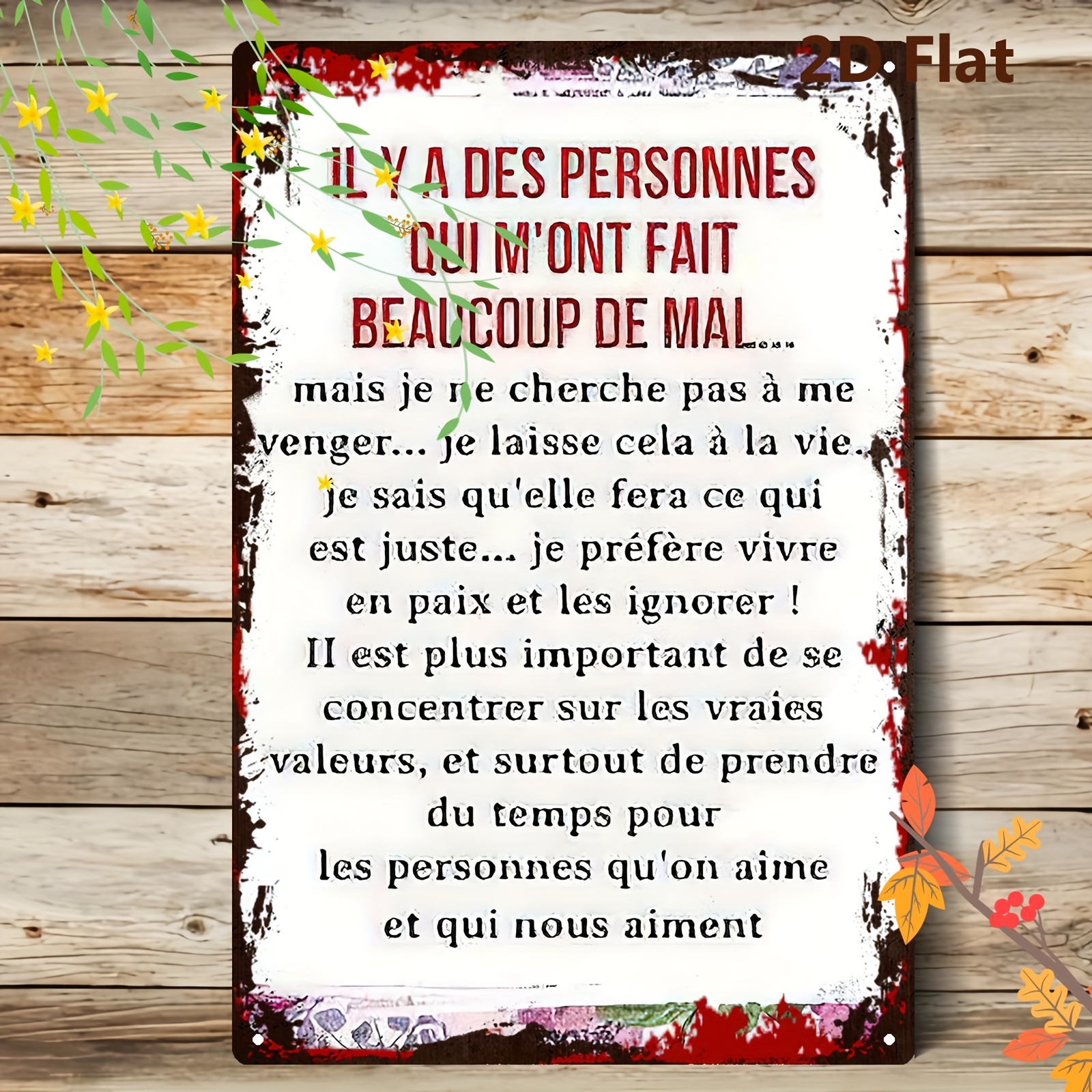 TEMU Plaque Métallique 2D Plate, 1 Pièce - Design Unique en Tôle de Fer, 20*30 cm/8*12 pouces, Décor Vintage pour Intérieur et Extérieur, Idéal pour