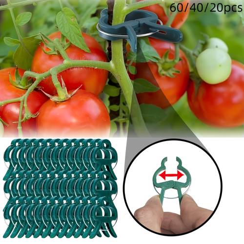 20 40 60pcs sturdy plastic clips for supporting garden plants ring clips designed for vines managing stems and branches bonus supports for tomato and cucumber vines