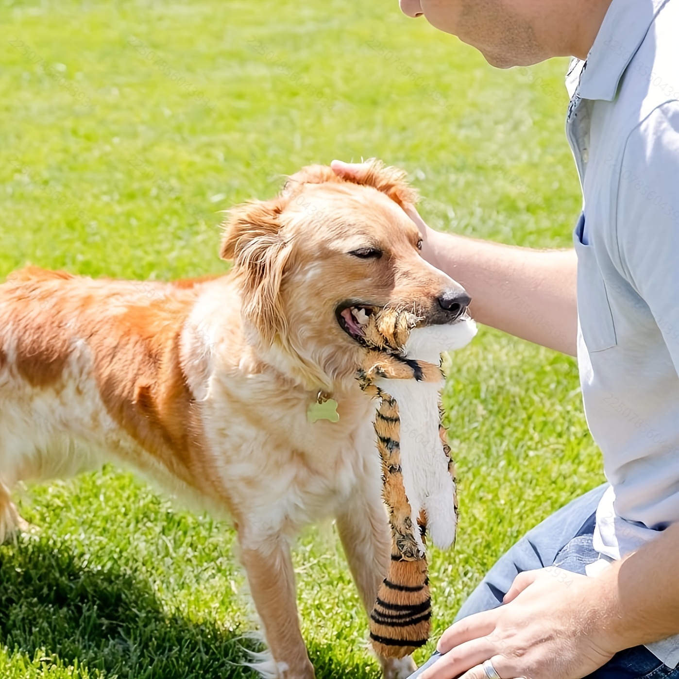 

5-piece Set Of Dog Squeaking Toys, Dog Toys Without Padding With Squeaking Sound, Animal Plush Toys, Dog Chew Toys, Suitable For Small And Medium-sized Dogs