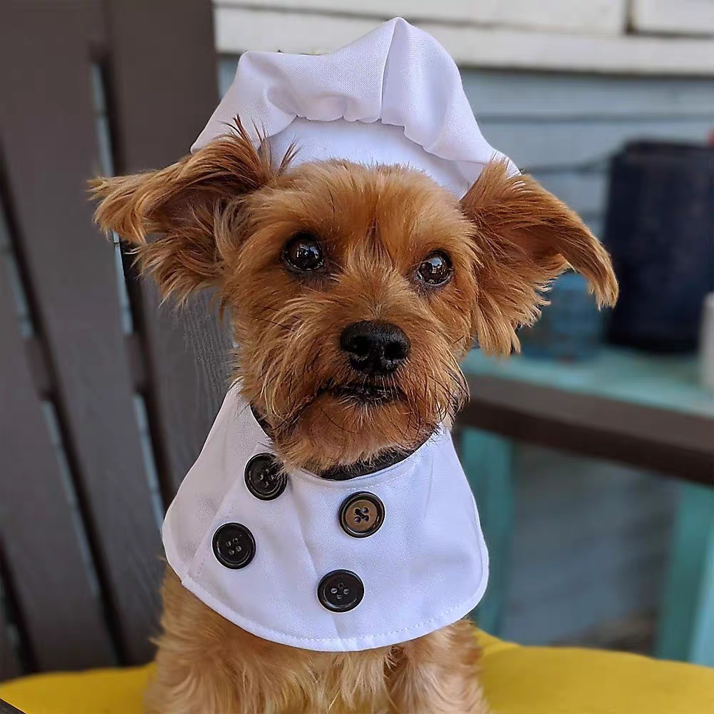 Dog Costume Mare Cane Costume Da Per Cani, Abbigliamento Da Trucco