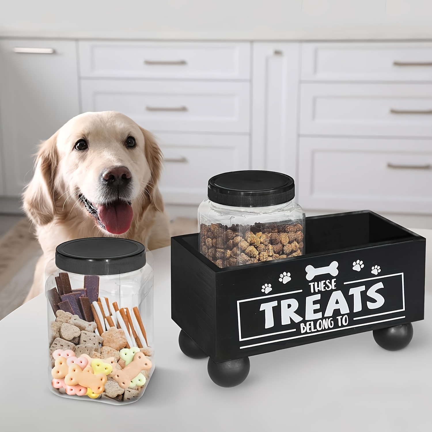 Dog shops treat bin