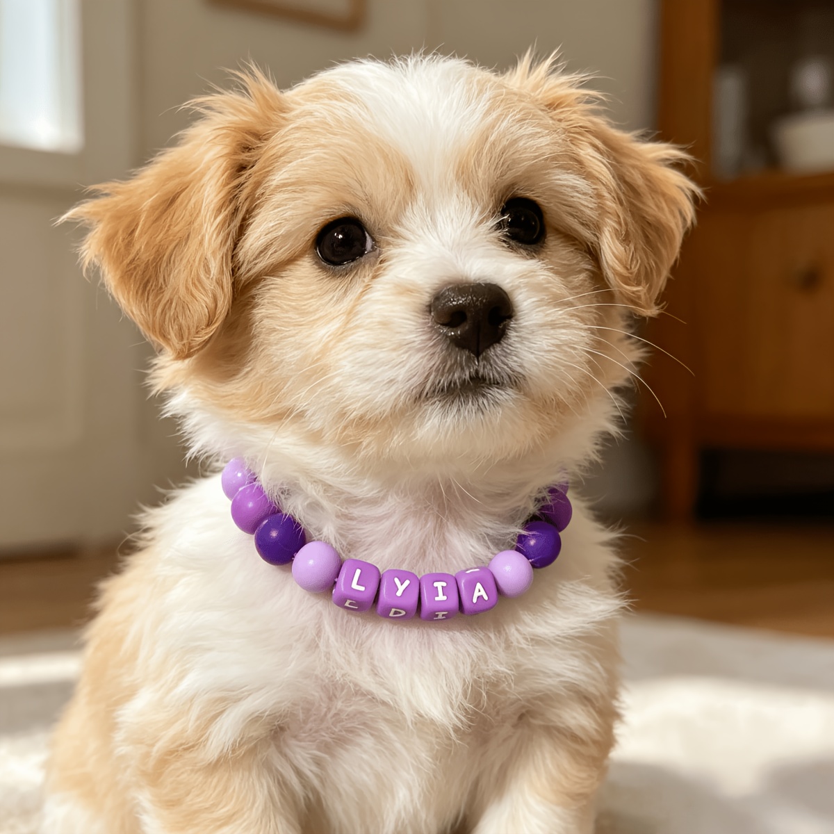 Purple Gradient Customizable Dog Necklace with Silicone Beads