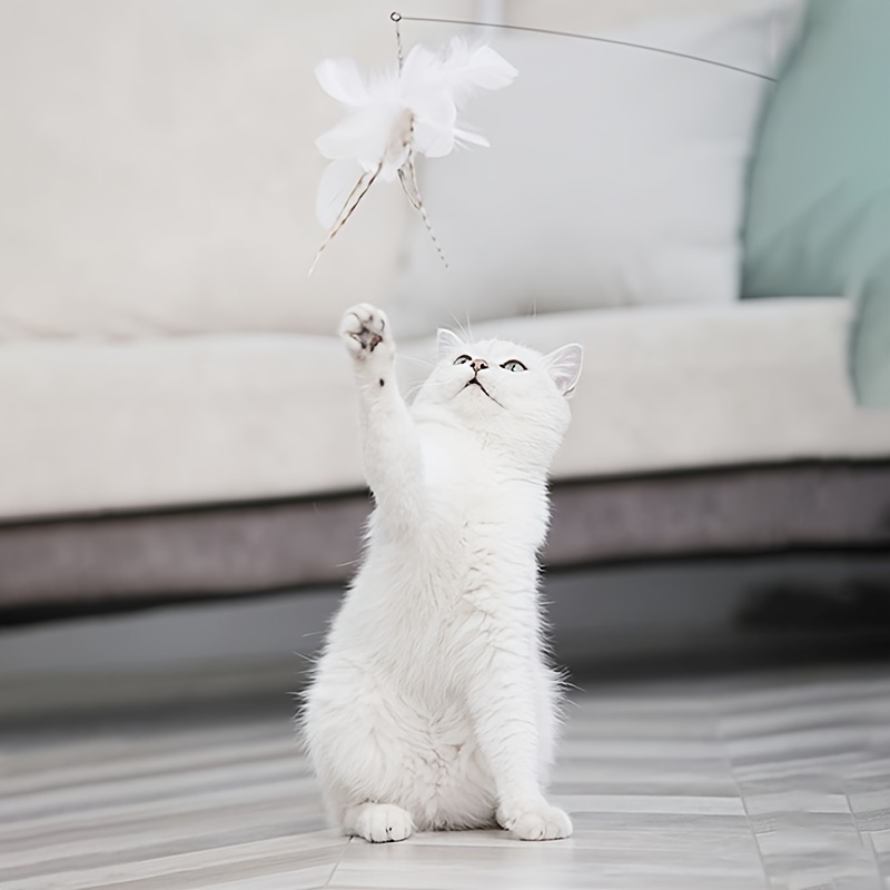 Double Pole Suction Cup Cat Teaser Stick Feather - Temu