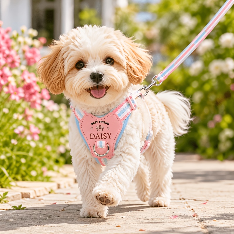 TEMU 1pc Laser-customized Pet Harness & Leash System Suitable For Small Dogs And Cats, Adjustable Anti-escape Vest Harness With Breathable Mesh,