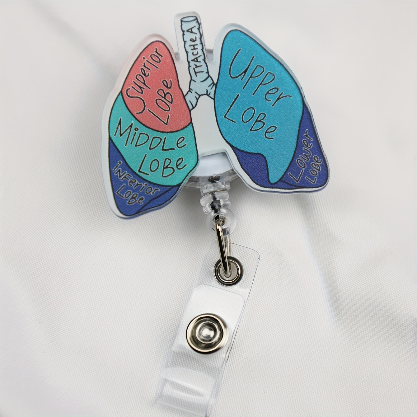 TEMU 1pc Lung Anatomy Retractable Id With Labeled Lungs (upper/lower/middle/supra/) & Lobe Diagram - Durable Acrylic Id Clip For Nurses, , Healthcare