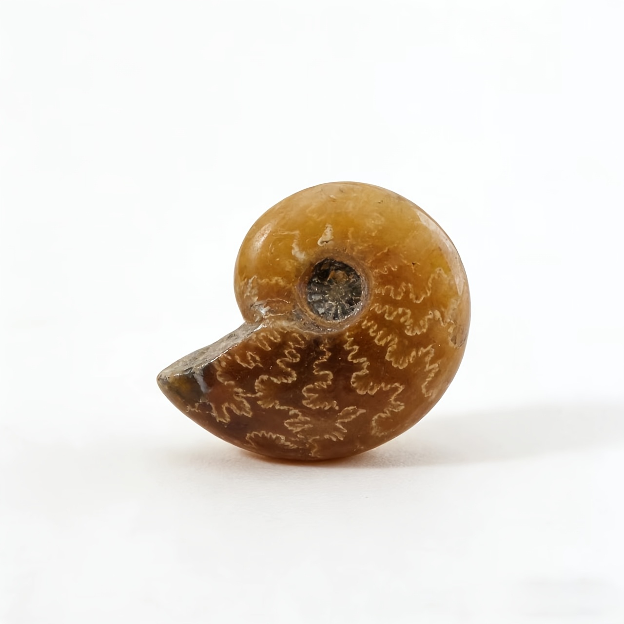 Hand-Carved Natural Chrysanthemum Stone, Seashell-Shaped Decoration