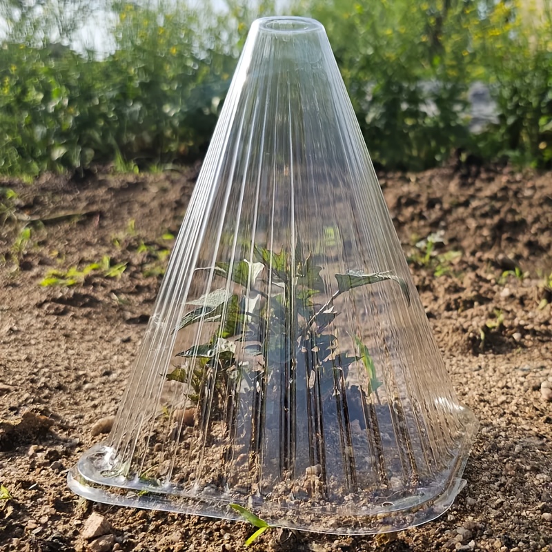 10 20pcs large reusable clear plastic plant covers vertical - Temu Mauritius