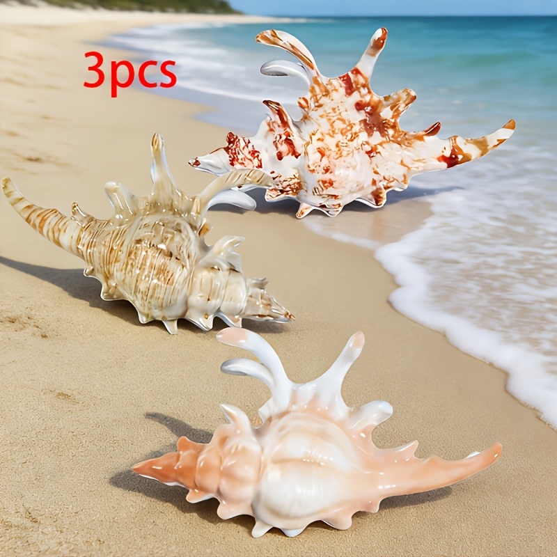 E-shop 3er-Set Frische Ozean-Stil Dreidimensionale Simulations-Schneckenform Haarspange für Frauen, für den hinteren Kopfteil, tägliches Haarstyling,