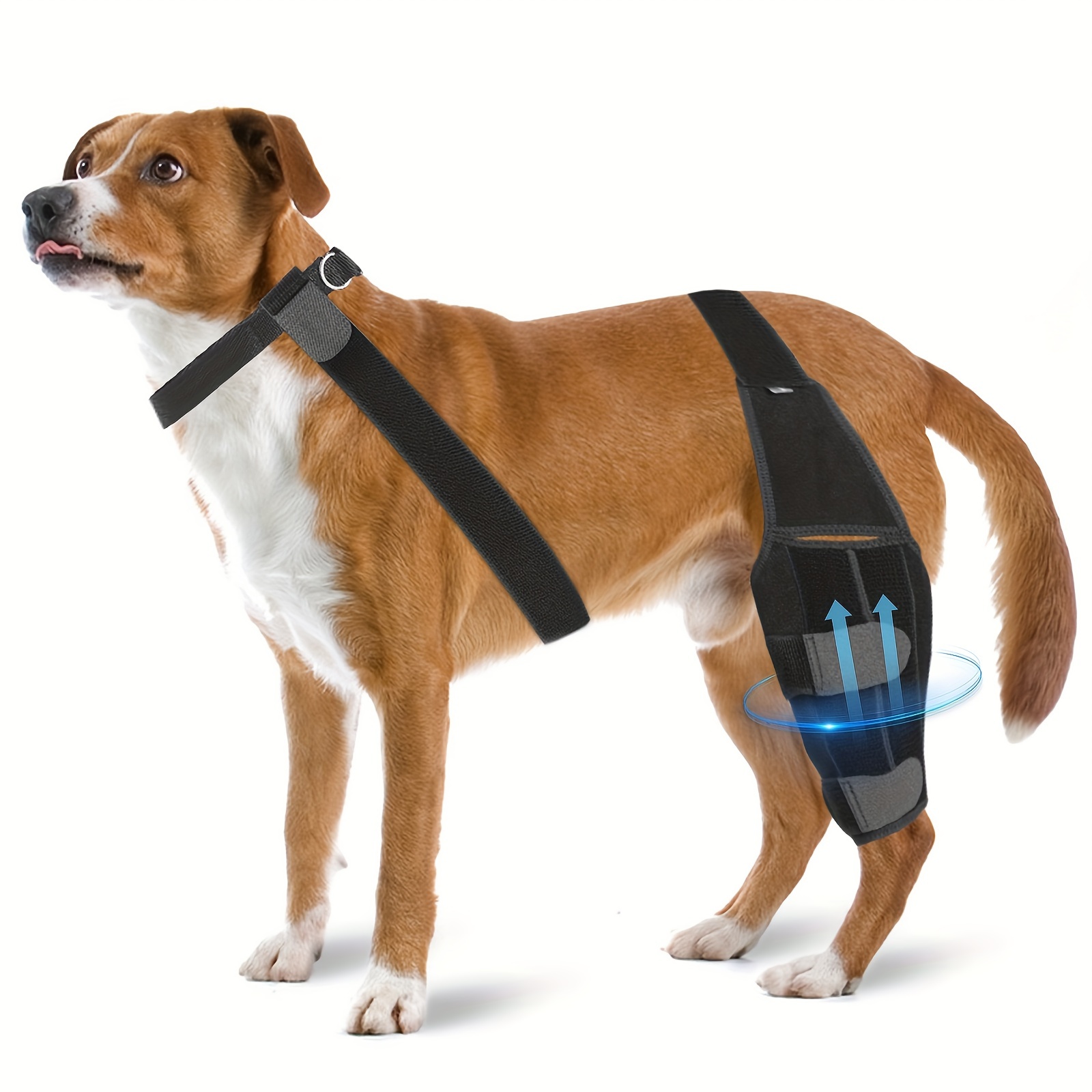 

Dog Knee Brace For Torn Acl Leg - Adjustable Rear Leg Braces For Dogs With Collar & Side , Strong Support To Joint Pain And Muscle Sore