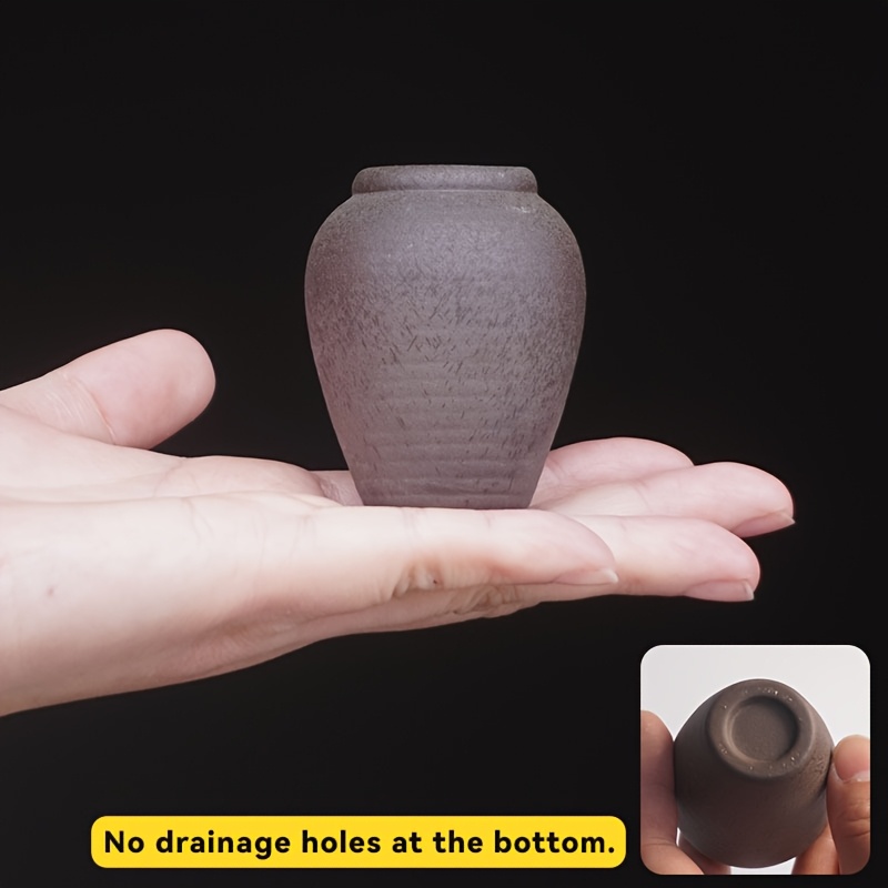 TEMU Mini Succulent Flower Pot, Thumb Flower Pot, Small Very Small Flower Pot, No Hole Hydroponic Pot, Coarse Pottery Fingertip Flower Pot, Aquatic